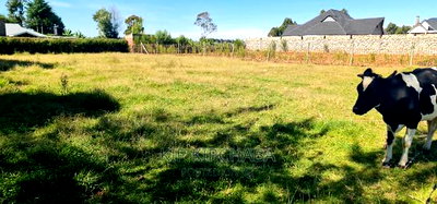 1/4 Plot Or Salein Llula Eldoret - Image 5