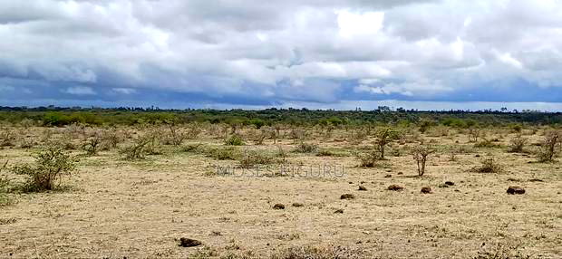 Mwalimu Farm 6 Acres.