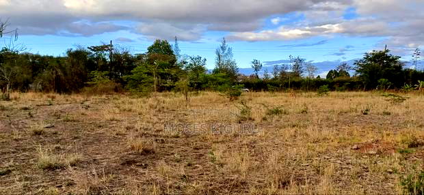 Mwalimu Farm 6 Acres.
