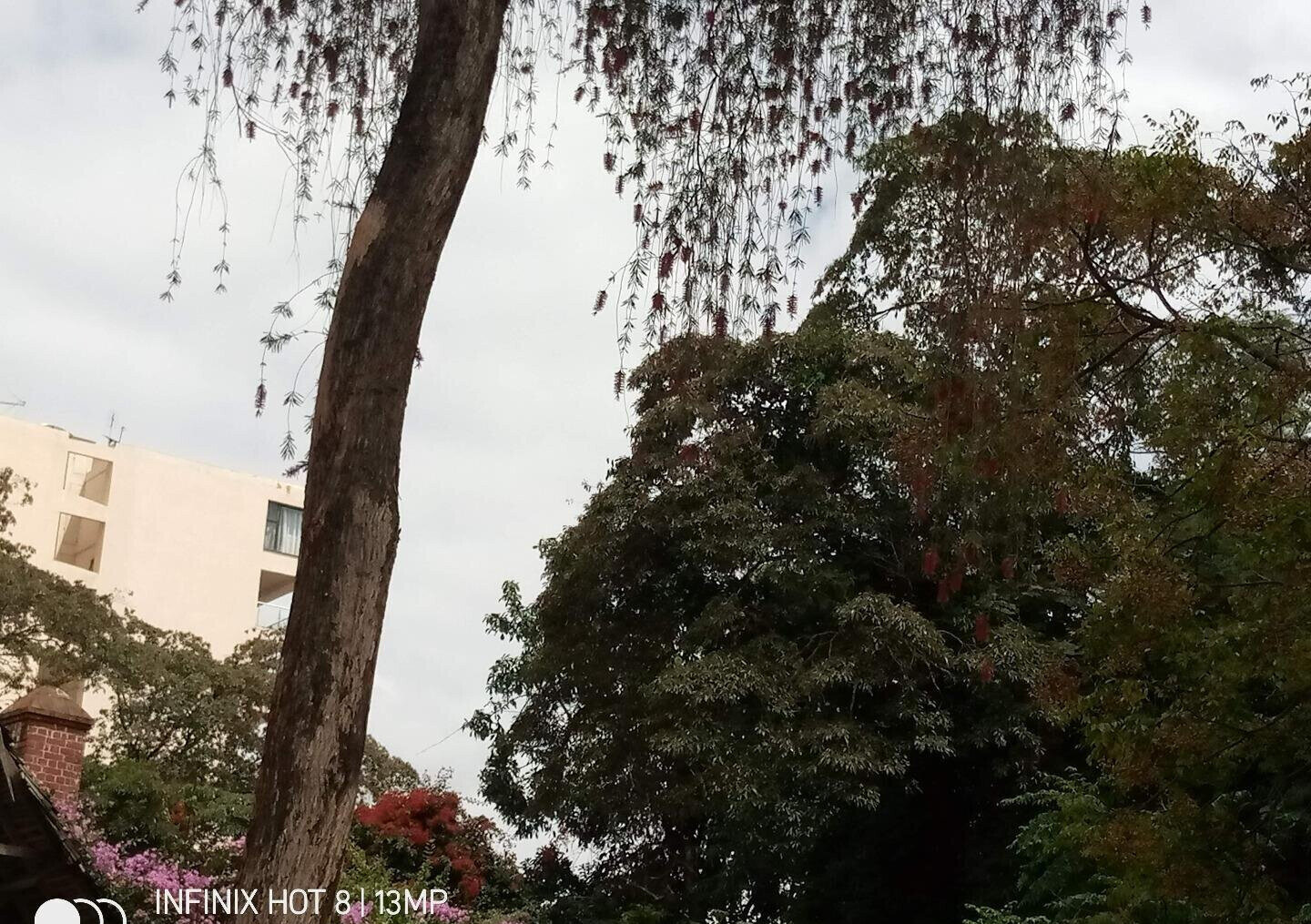 1.4-Acre Lavington Plot for KSh 425M