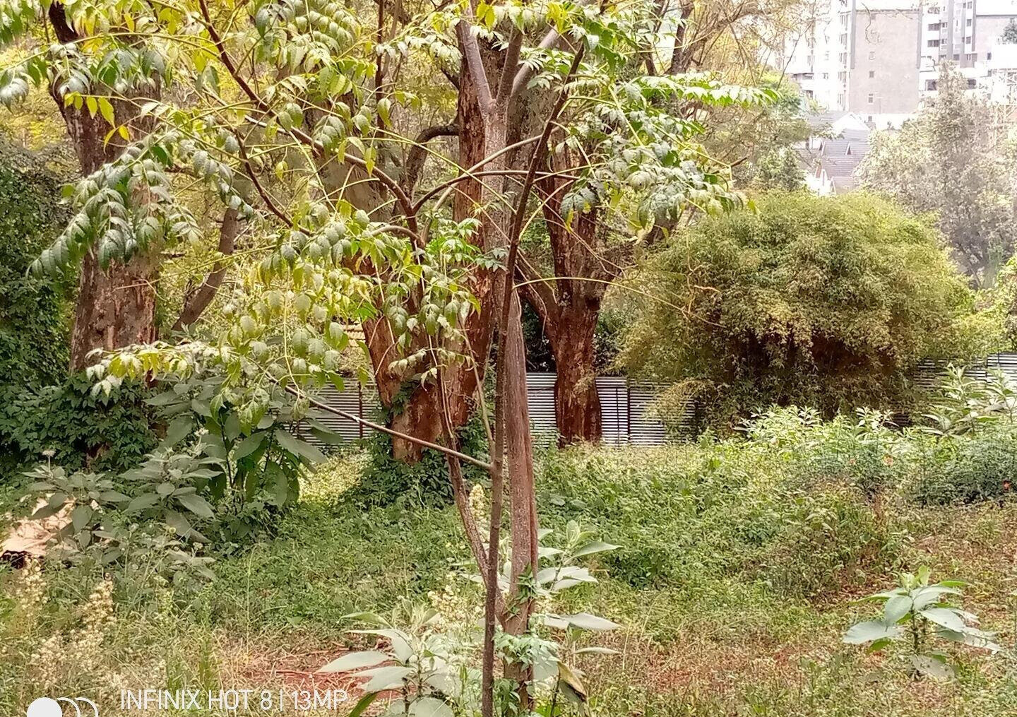 1.4-Acre Lavington Plot for KSh 425M