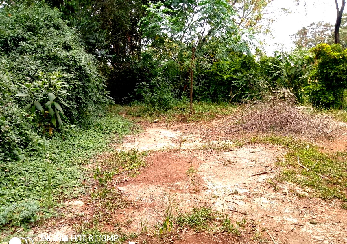 1.4-Acre Lavington Plot for KSh 425M