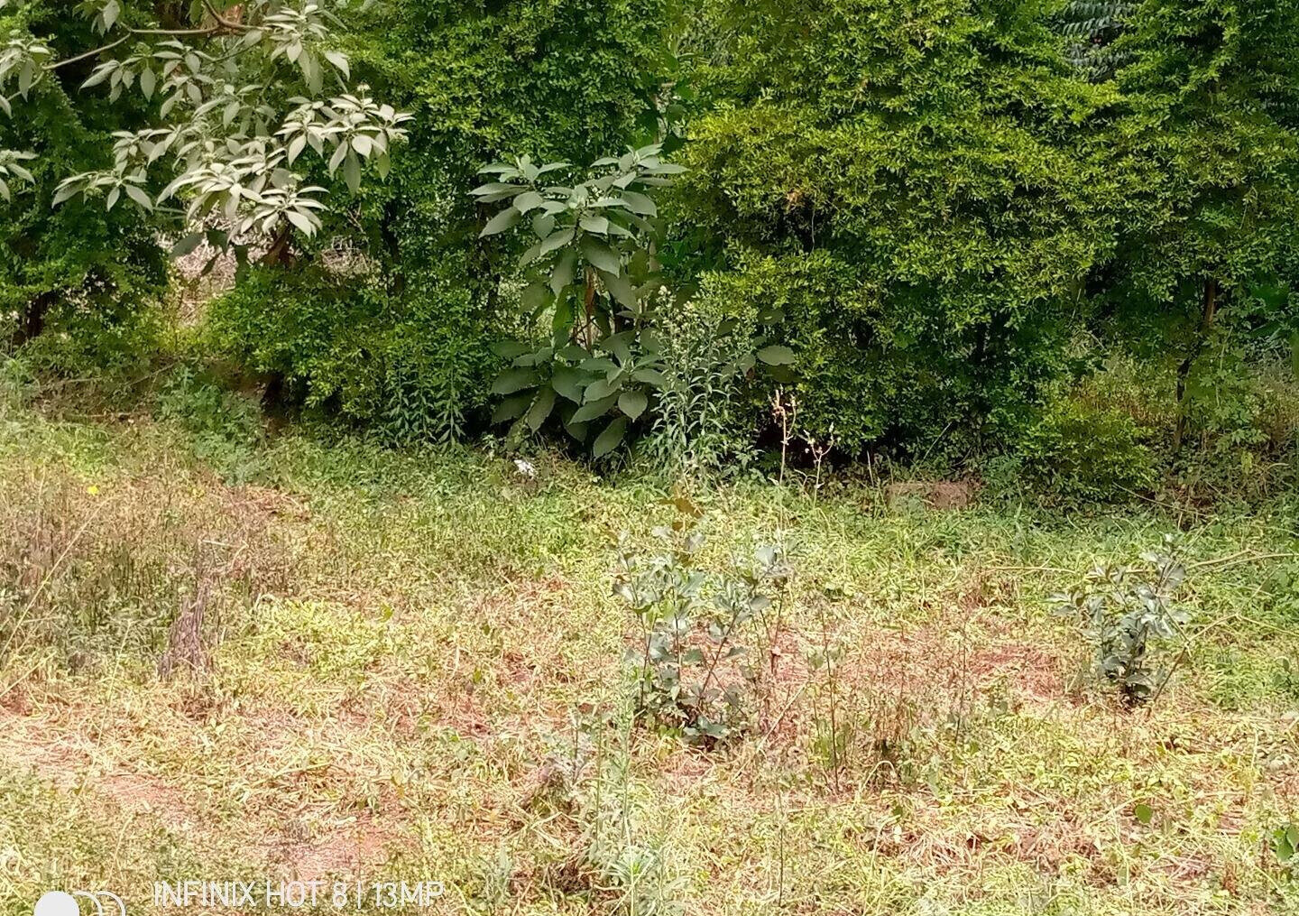 1.4-Acre Lavington Plot for KSh 425M