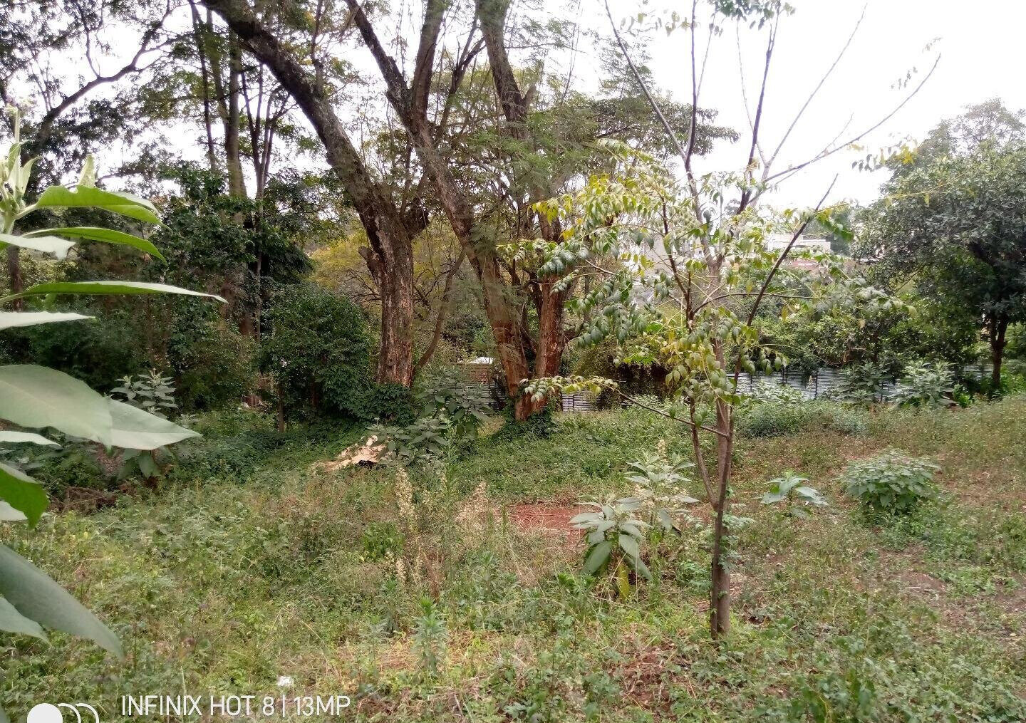 1.4-Acre Lavington Plot for KSh 425M