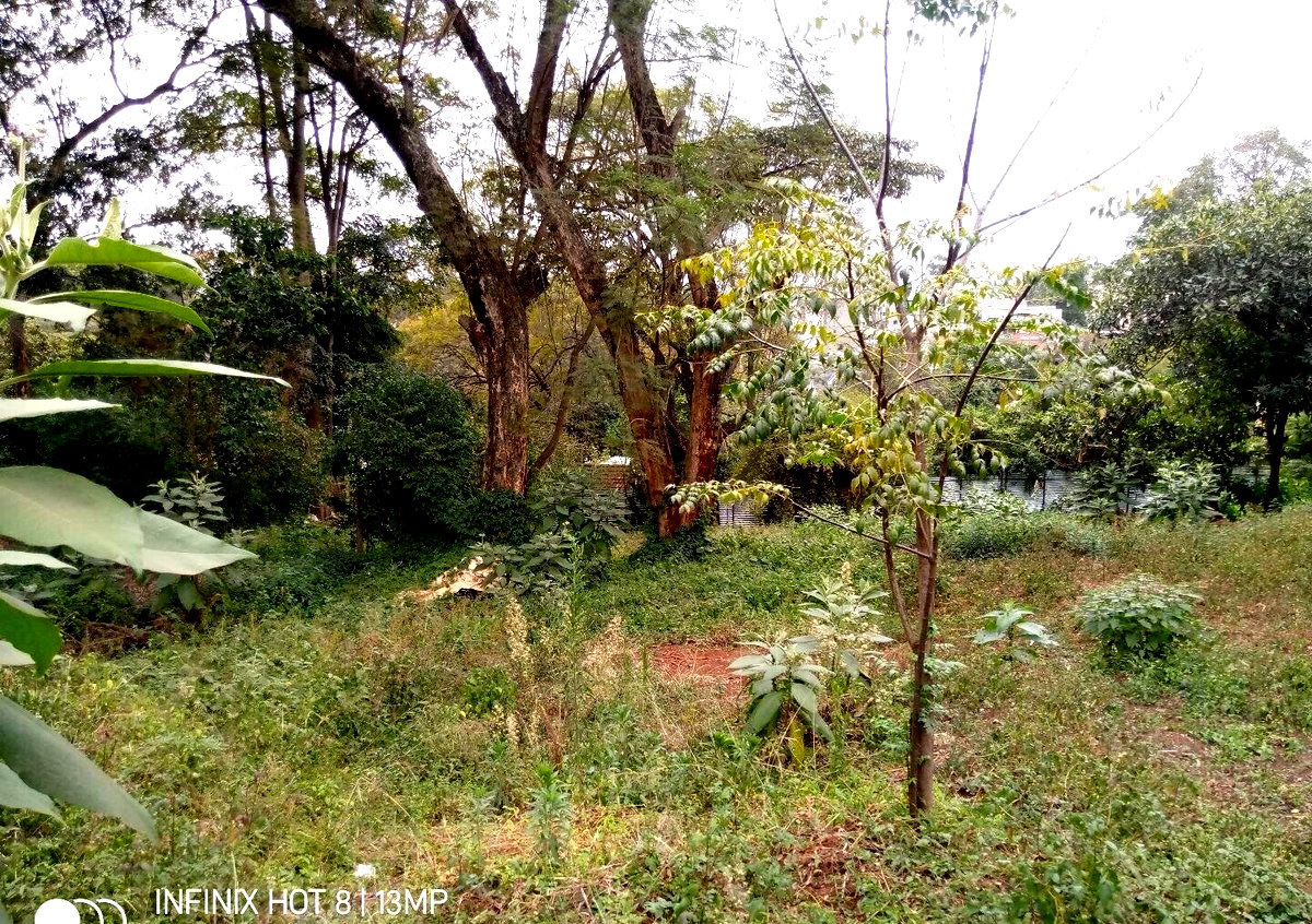 1.4-Acre Lavington Plot for KSh 425M