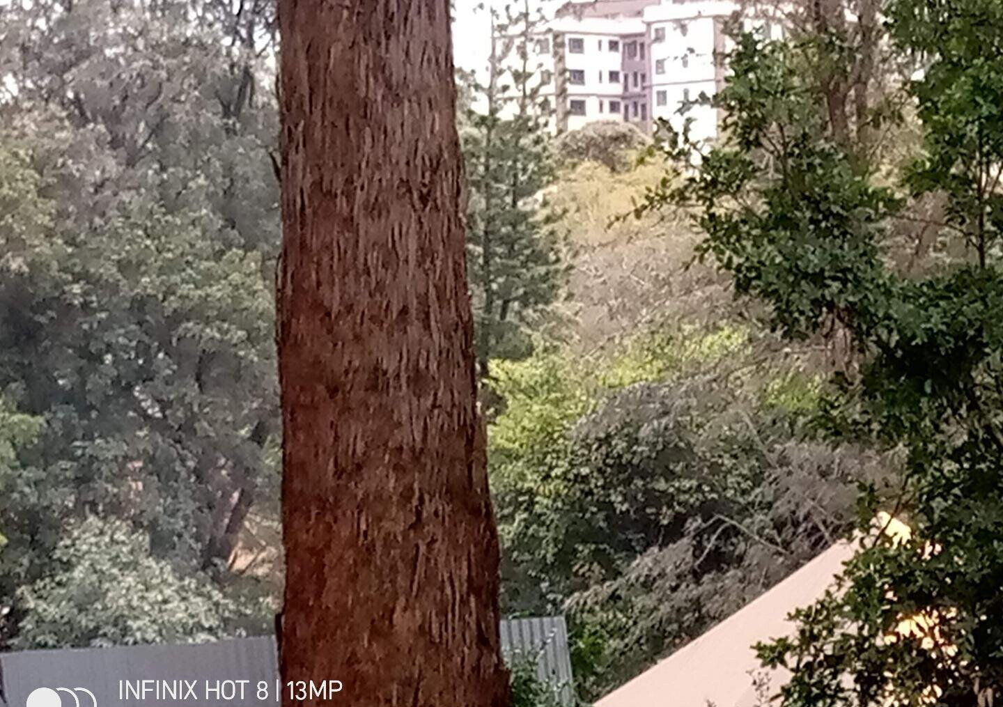 1.4-Acre Lavington Plot for KSh 425M