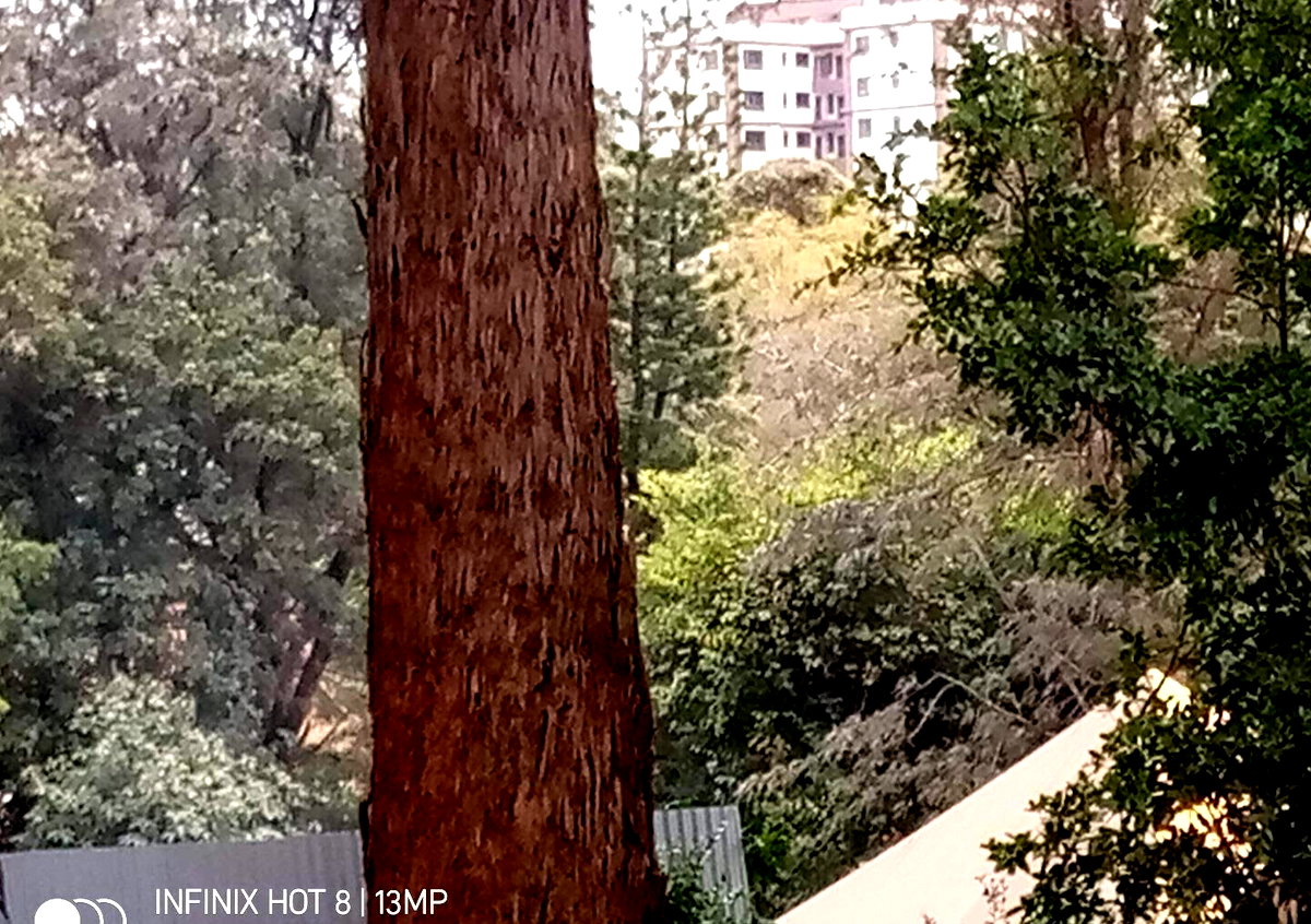 1.4-Acre Lavington Plot for KSh 425M