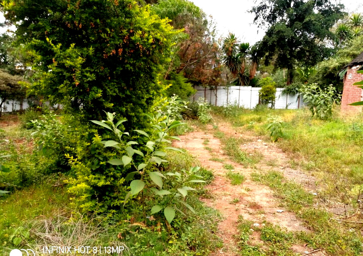 1.4-Acre Lavington Plot for KSh 425M