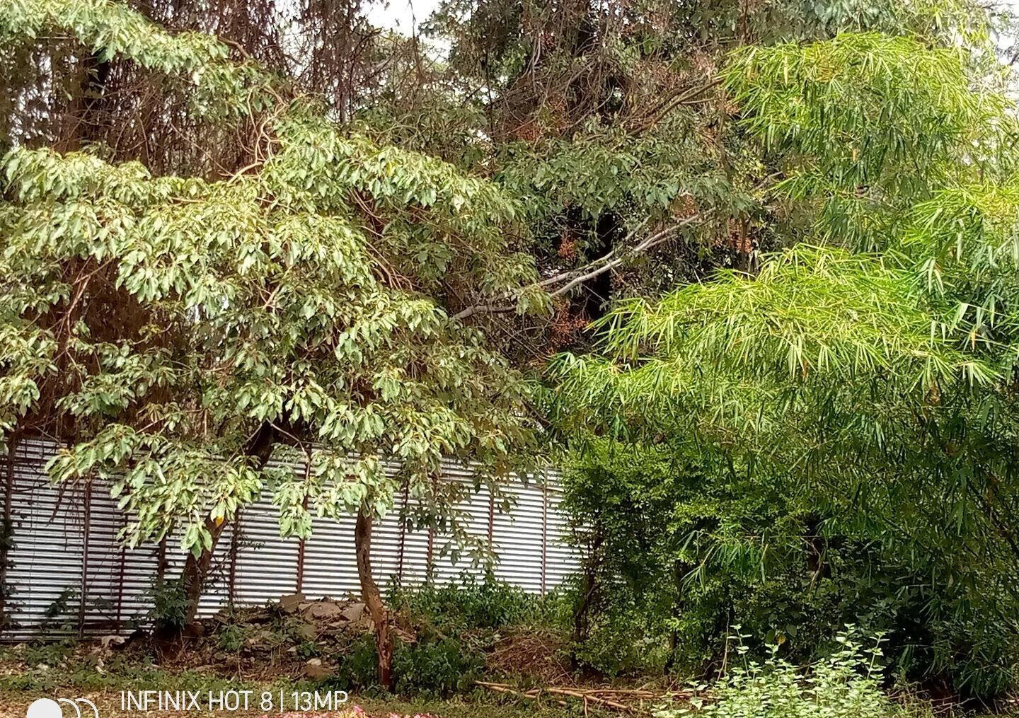 1.4-Acre Lavington Plot for KSh 425M