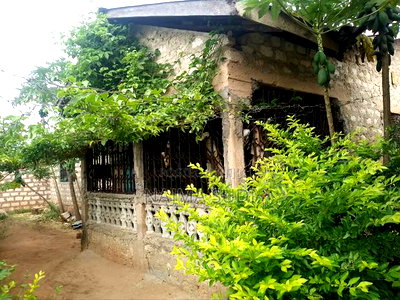 House for Sale in Kombani - Image 3