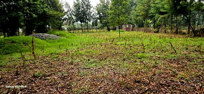 1/4 Plot for Sale in Cheplasgei Bypass Greenwood Eldoret - Image 4