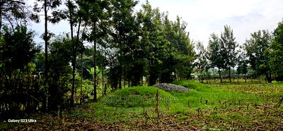 1/4 Plot for Sale in Cheplasgei Bypass Greenwood Eldoret - Image 9