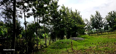 1/4 Plot for Sale in Cheplasgei Bypass Greenwood Eldoret - Image 3