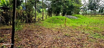 1/4 Plot for Sale in Cheplasgei Bypass Greenwood Eldoret - Image 10