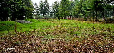 1/4 Plot for Sale in Cheplasgei Bypass Greenwood Eldoret - Image 6