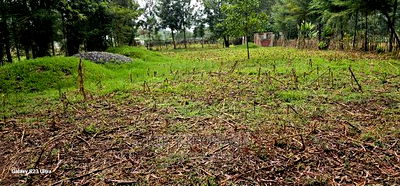 1/4 Plot for Sale in Cheplasgei Bypass Greenwood Eldoret - Image 14