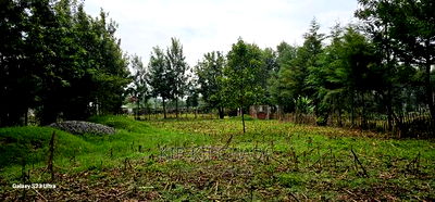1/4 Plot for Sale in Cheplasgei Bypass Greenwood Eldoret - Image 11