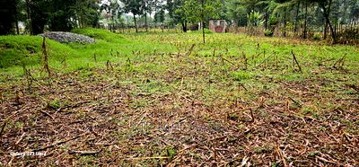 1/4 Plot for Sale in Cheplasgei Bypass Greenwood Eldoret - Image 8