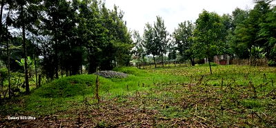 1/4 Plot for Sale in Cheplasgei Bypass Greenwood Eldoret - Image 7