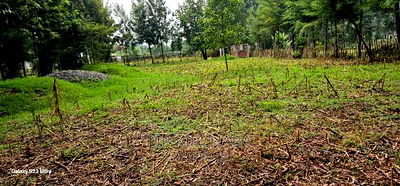 1/4 Plot for Sale in Cheplasgei Bypass Greenwood Eldoret - Image 1