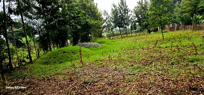 1/4 Plot for Sale in Cheplasgei Bypass Greenwood Eldoret - Image 2