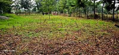 1/4 Plot for Sale in Cheplasgei Bypass Greenwood Eldoret - Image 13