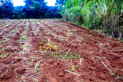 0.25 Acre Land for Sale in Ondiri - Kikuyu - Image 3