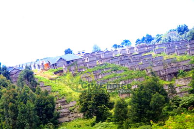 0.25 Acre Land for Sale in Ondiri - Kikuyu - Image 2