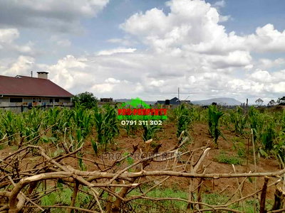 Prime Residential 0.05 Ha Plot for Sale in Kikuyu, Kamangu. - Image 12