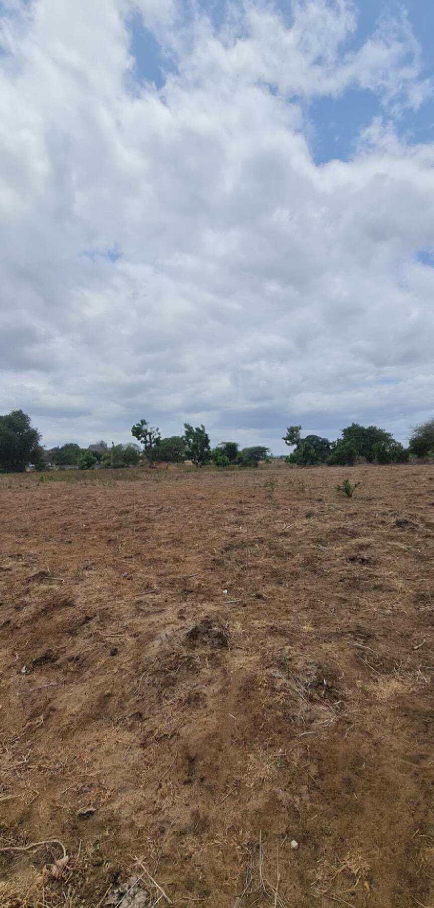 Half Acre Plot in Malindi
