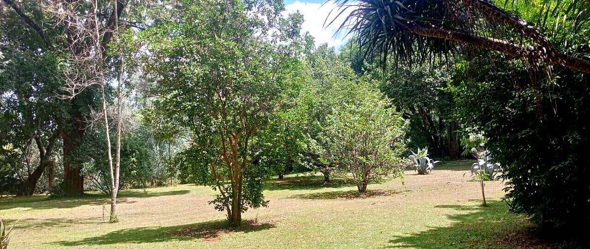 2.5-Acre Ridgeways Gem at KSh 200M