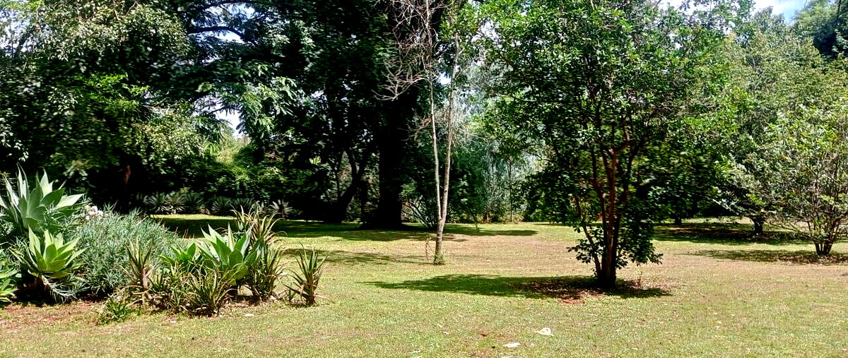 2.5-Acre Ridgeways Gem at KSh 200M