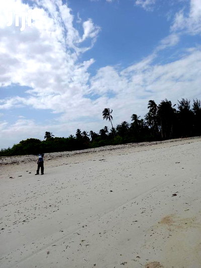 For Sale 10 Acres Beach Kikambala - Image 6