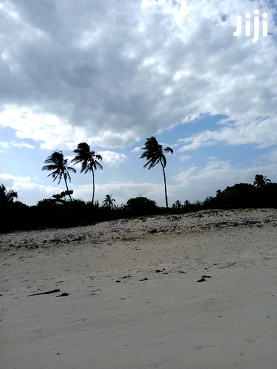 For Sale 10 Acres Beach Kikambala - Image 4