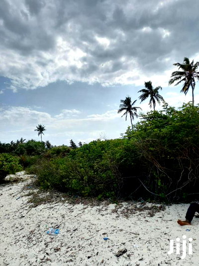 For Sale 10 Acres Beach Kikambala - Image 2