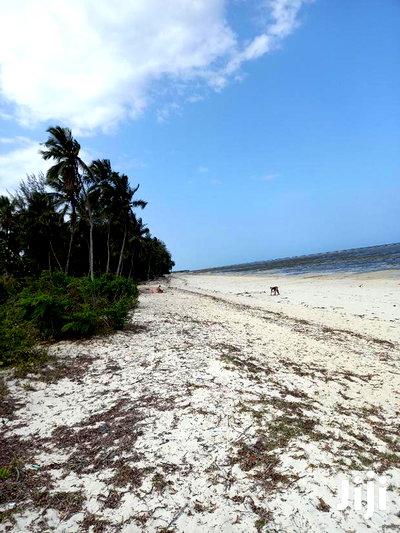 For Sale 10 Acres Beach Kikambala - Image 5