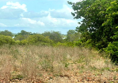 1-Acre Creek Frontage Plot in Watamu