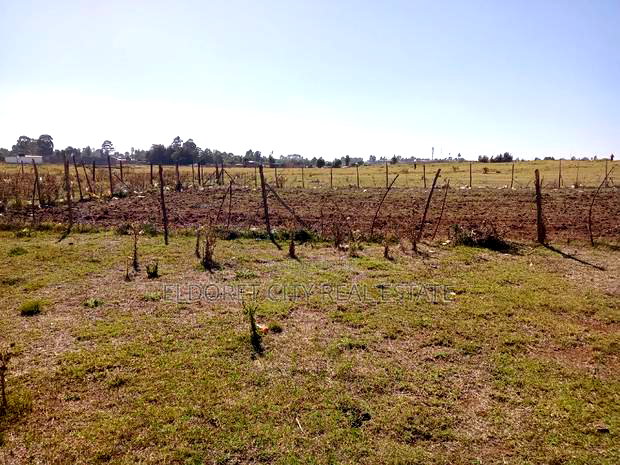 1/4 Plot Hawaii Kimumu Ideal for Rental