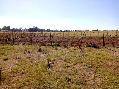 1/4 Plot Hawaii Kimumu Ideal for Rental - Image 1