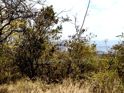 7 Acres Piece of Land on Sale in Ngong, Saikeri, Red Soil - Image 8