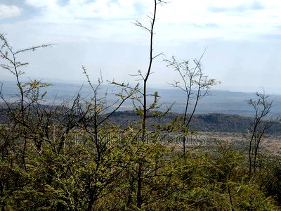 7 Acres Piece of Land on Sale in Ngong, Saikeri, Red Soil - Image 9