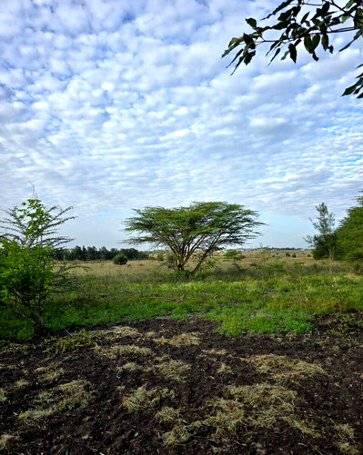 18-Acre Commercial Land with Garden