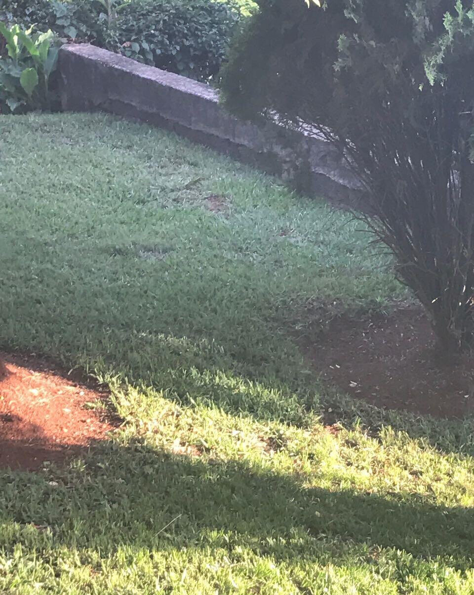 Half Acre Garden Plot with Parking