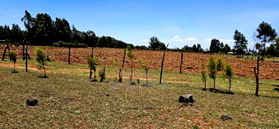 Prime 10 Acres Jua Kali Touching Tarmac for Sale in Eldoret - Image 4