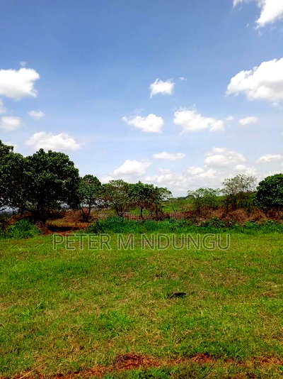 Prime Land on Sale, 45acres Kiambu Road - Image 2