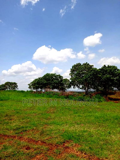 Prime Land on Sale, 45acres Kiambu Road - Image 3