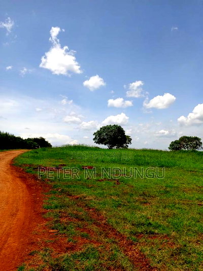 Prime Land on Sale, 45acres Kiambu Road - Image 9