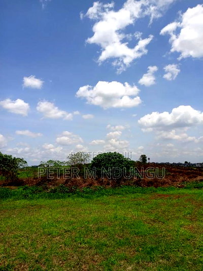 Prime Land on Sale, 45acres Kiambu Road - Image 7
