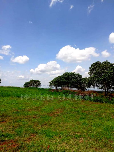 Prime Land on Sale, 45acres Kiambu Road - Image 5