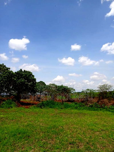 Prime Land on Sale, 45acres Kiambu Road - Image 6